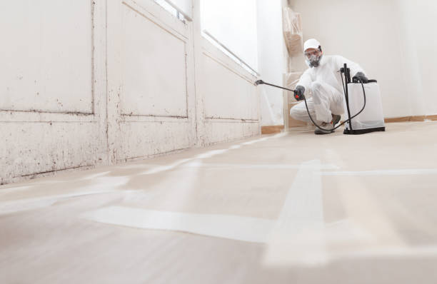 24/7 Emergency Attic Mold Remediation experts in Todd, PA